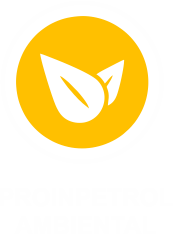 Proinpetrol